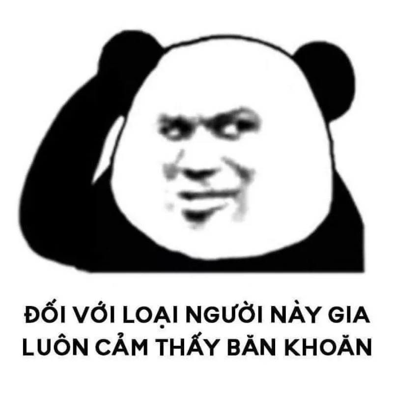 Ảnh meme troll gấu trúc hài hước đáng yêu và sáng tạo