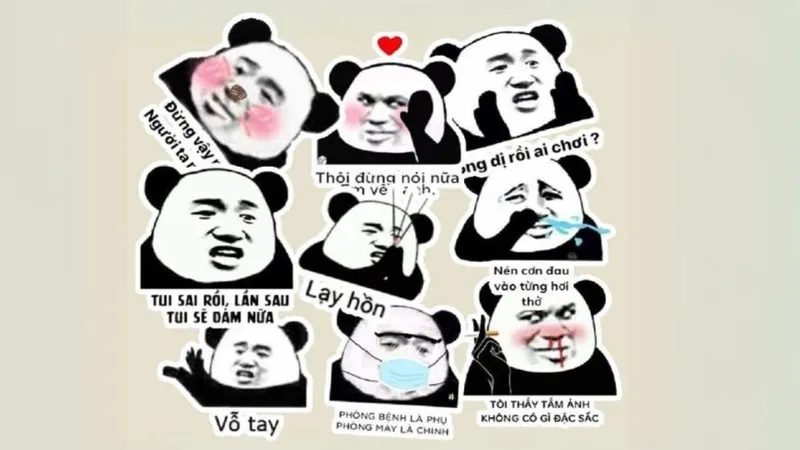 Meme gấu trúc troll face hài hước không ngừng nghỉ