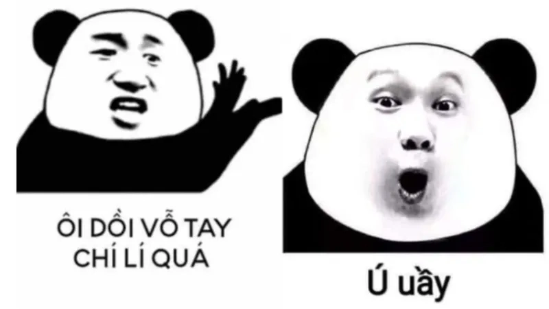 Tuyển tập meme gấu trúc troll face chuyện cười hot