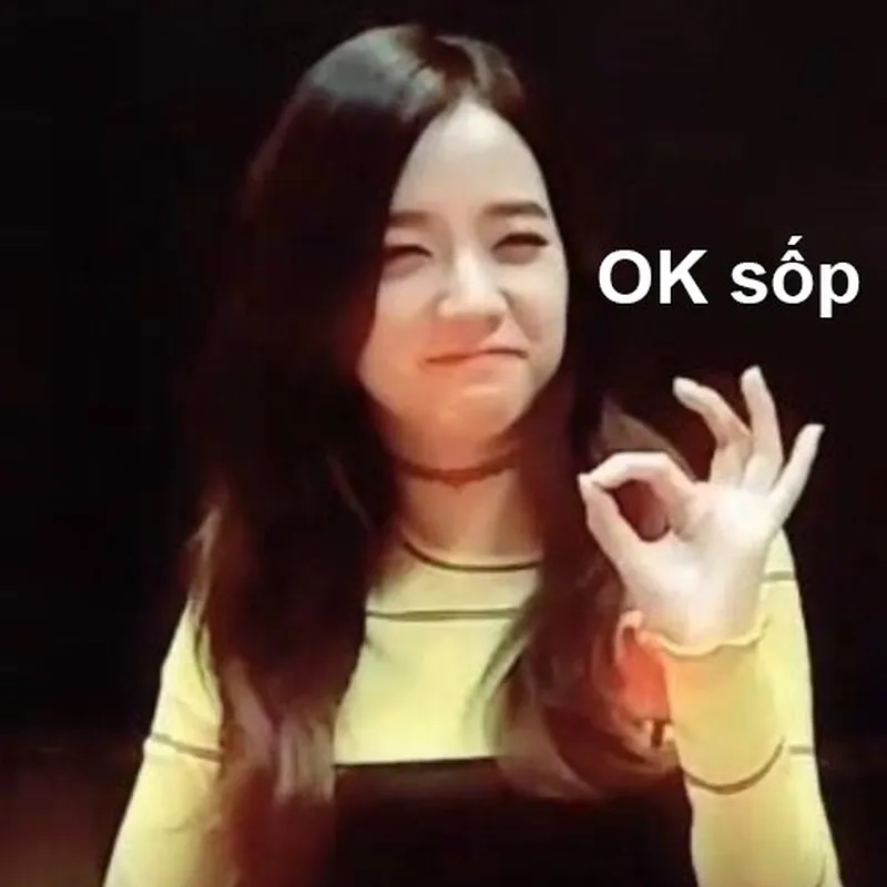 Jisoo meme blackpink khiến bạn không thể nhịn cười với sự đáng yêu