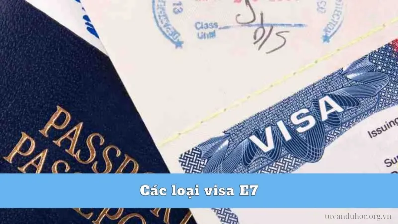  Các loại visa E7 Hàn Quốc phổ biến