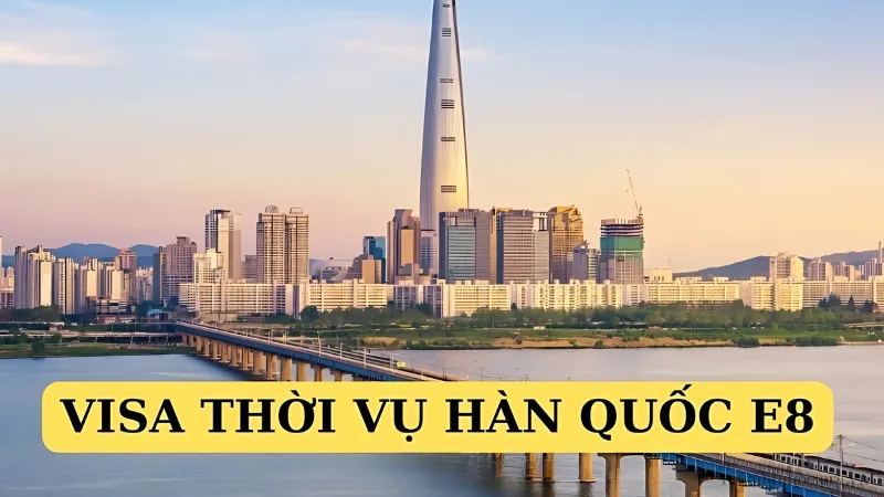 isa E8 Hàn Quốc được phân thành nhiều loại khác nhau tùy vào ngành nghề