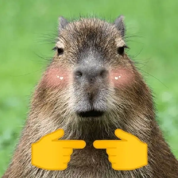 Capybara meme cầm dao mang đến sự hài hước cho những ai yêu thích sự bất ngờ