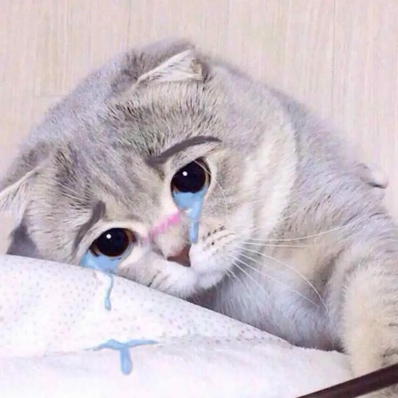 Crying meme emoji thể hiện cảm xúc chân thật trong cuộc sống