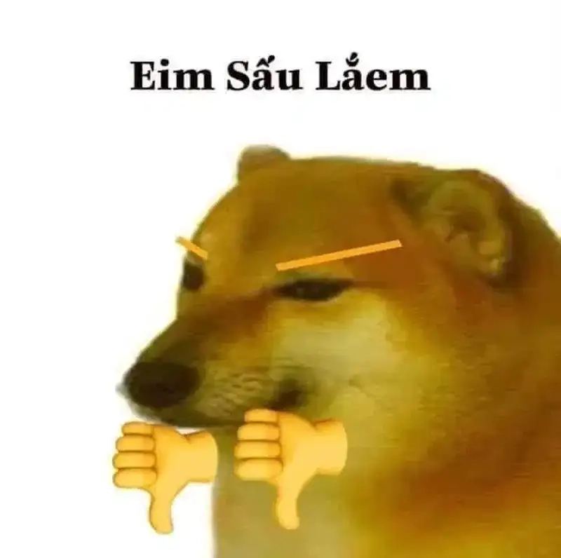 Con chó shiba meme khiến bạn cảm thấy dễ thương hơn