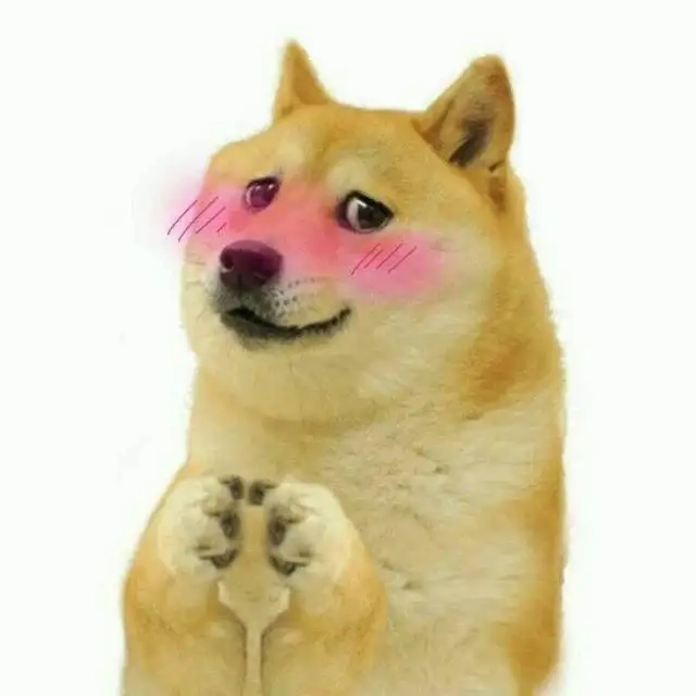 Meme shiba inu là hình ảnh vui vẻ cho những ai yêu thích chó