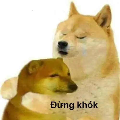 Shiba inu meme coin là hình ảnh thú vị cho những ai yêu thích meme