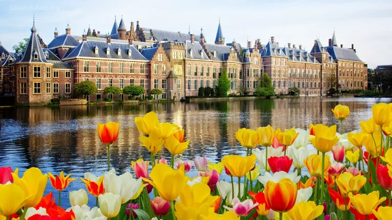 Ảnh Hà Lan ấn tượng từ các điểm đến nổi bật trong tour du lịch Amsterdam