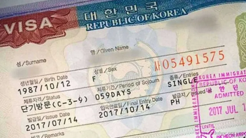 Điều kiện để xin Visa E7 Hàn Quốc là gì?