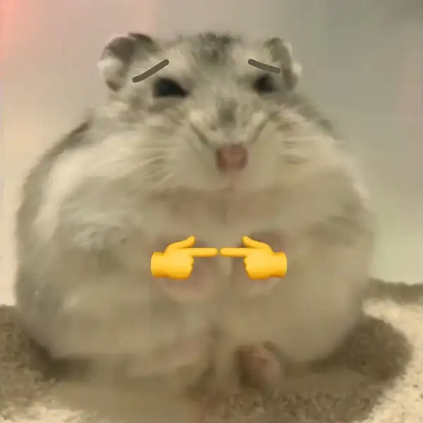 Chuột hamster meme khiến bạn không thể nhịn cười với sự đáng yêu