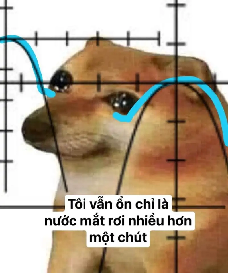 Jerry cry meme khiến bạn cảm nhận được nỗi buồn của nhân vật trong cuộc sống