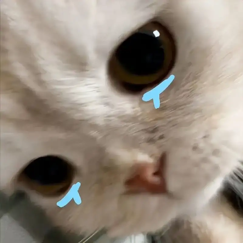 Crying man meme mang lại tiếng cười cho mọi người