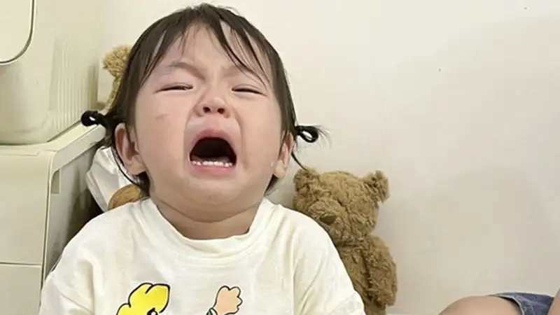 Jerry cry meme mang lại sự dễ thương cho người xem