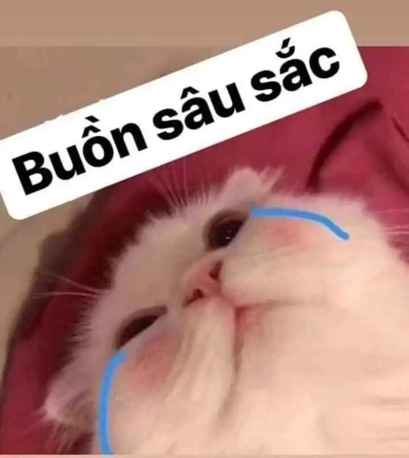 Cry laugh meme khiến bạn cảm thấy vui vẻ hơn trong cuộc sống