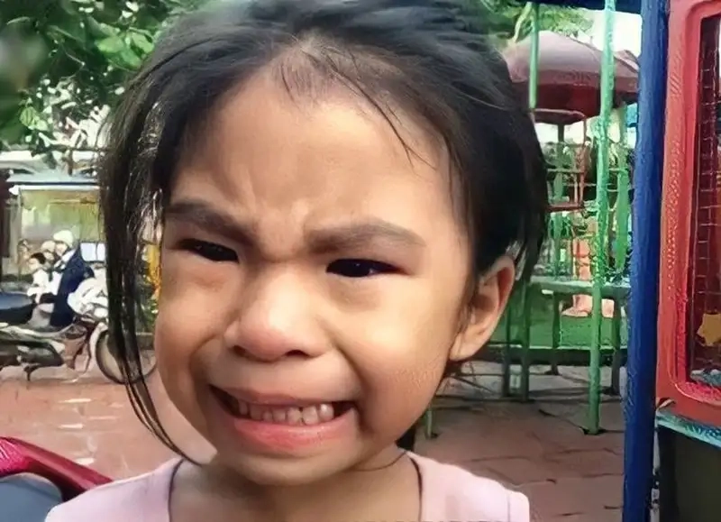 Meme crying cat khiến bạn cảm nhận được nỗi buồn của thú cưng