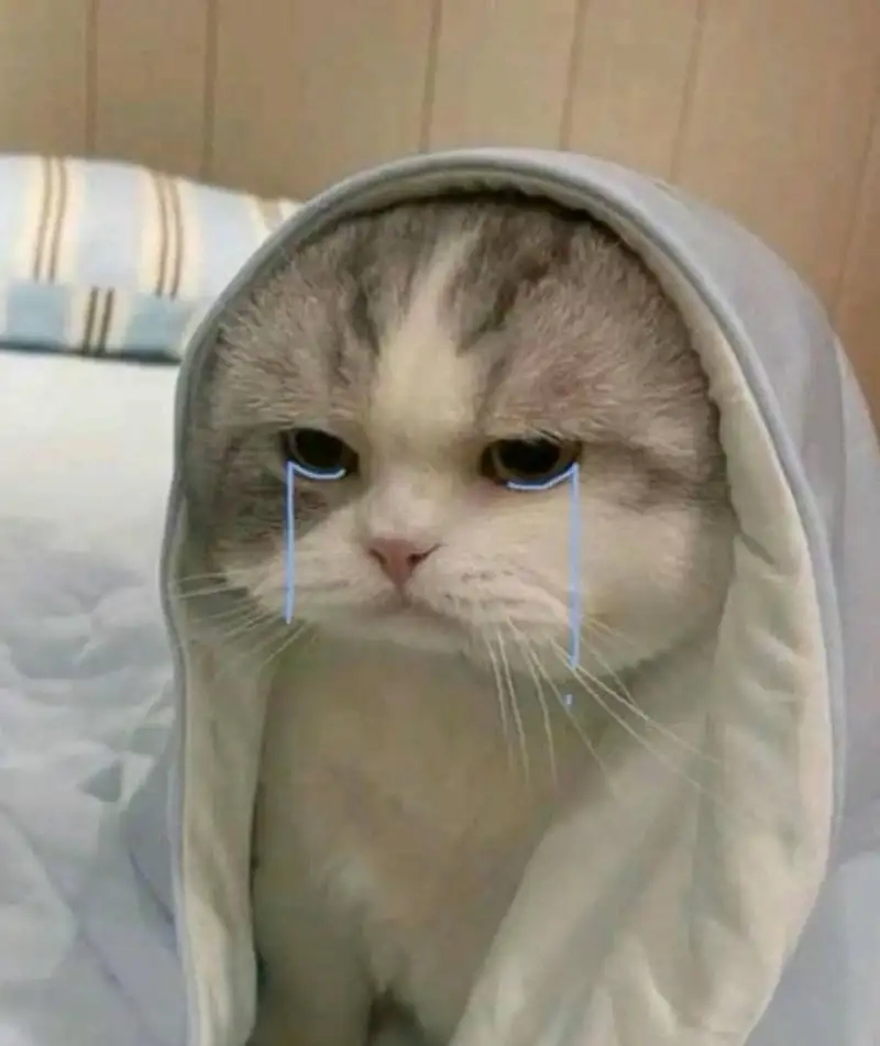 Meme jerry crying khiến bạn cảm thấy đồng cảm