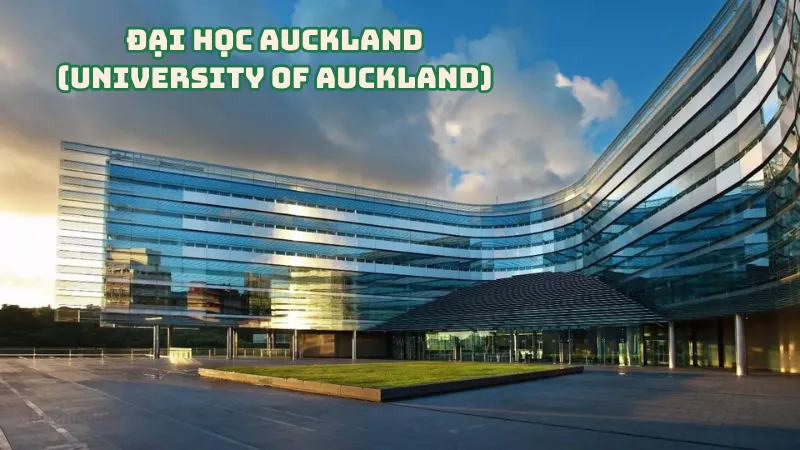 Đại học Auckland (University of Auckland) 