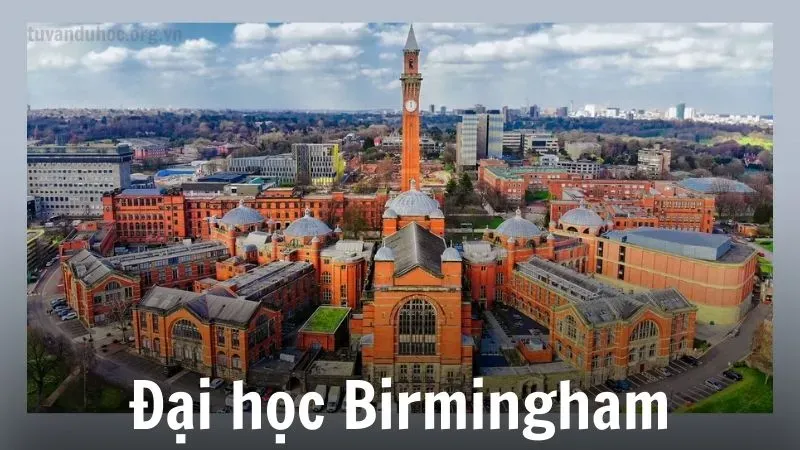 Chọn Đại học Birmingham để nâng tầm sự nghiệp