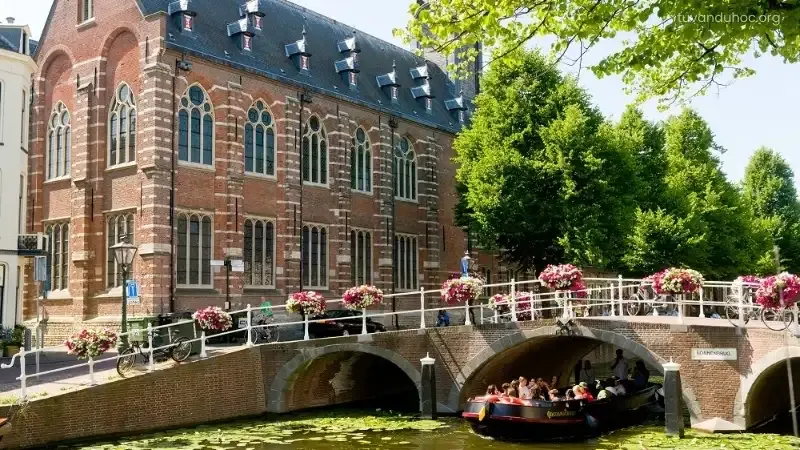 Leiden University là một trong những trường đại học nghiên cứu quốc tế hàng đầu châu Âu