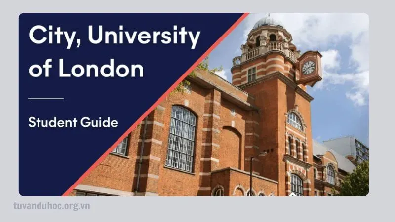 Đạt thành tựu vượt trội tại London University Ranking