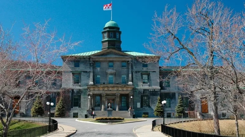 McGill University được ví như 