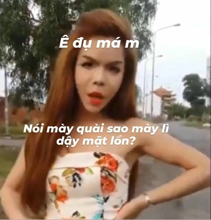 Meme đánh nhau cute mang đến sự dễ thương cho những ai yêu thích động vật