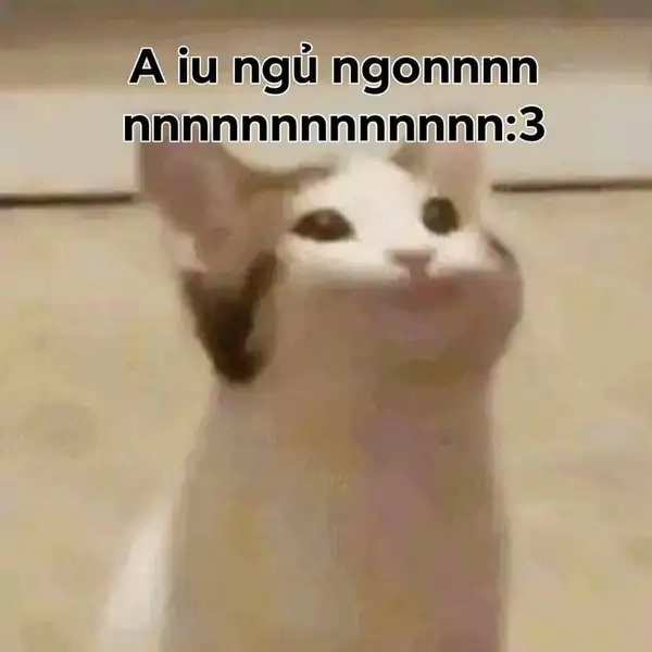 Meme chúc ngủ ngon mèo là hình ảnh dễ thương cho những ai yêu mèo