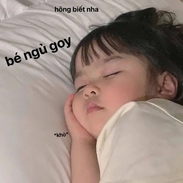 Meme cay cú không ngủ được khiến bạn cảm thấy đồng cảm