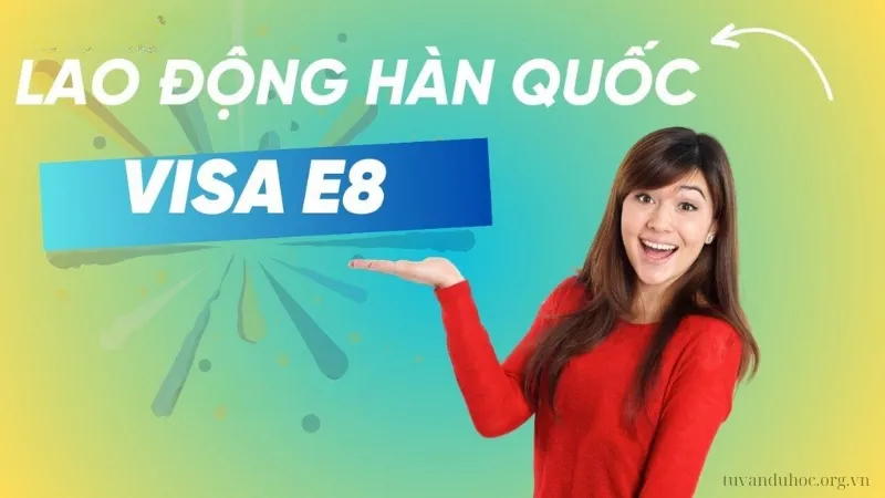 Để xin Visa E8 Hàn Quốc, ứng viên cần đáp ứng một số điều kiện cơ bản