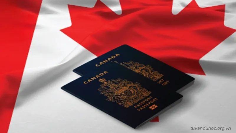 Nhu cầu nhập cư Canada ngày càng gia tăng và trở nên cấp thiết