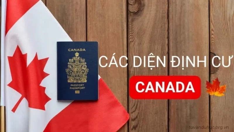 Các diện định cư Canada phổ biến