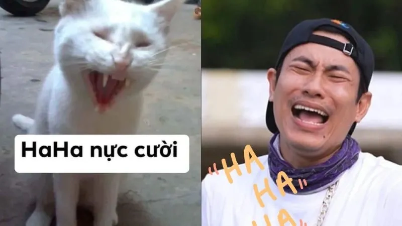 Haha or sad meme thể hiện những cảm xúc chân thật