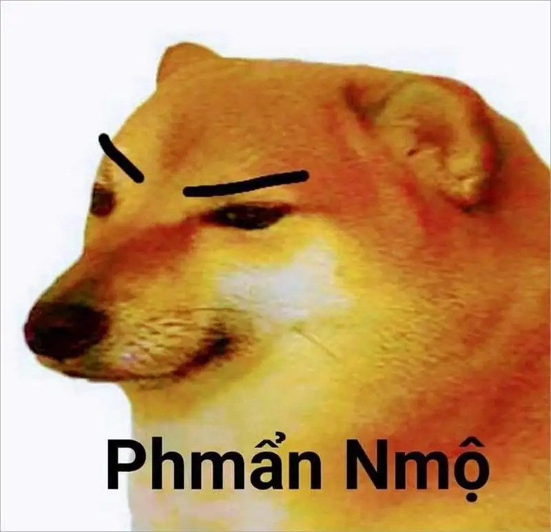 Meme dog cheems mang lại sự dễ thương và hài hước cho người xem