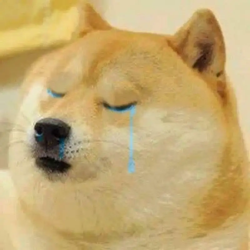 Doge meme cheems đáng yêu mang lại niềm vui cho ngày mới