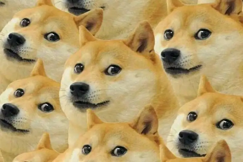 Meme doge Việt Nam mang đậm bản sắc văn hóa dân tộc