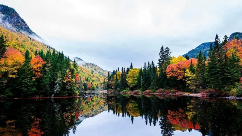 Chi phí du học Canada có thể thay đổi theo từng khu vực, trường học và nhu cầu cá nhân