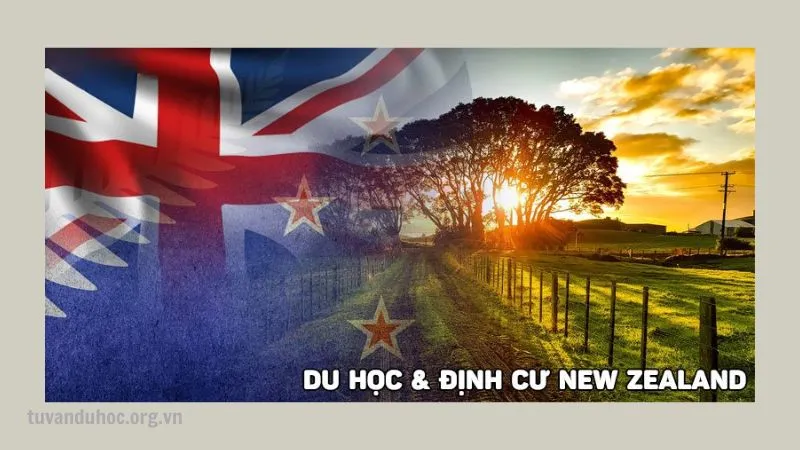 Du học kết hợp định cư New Zealand mở ra tương lai mới