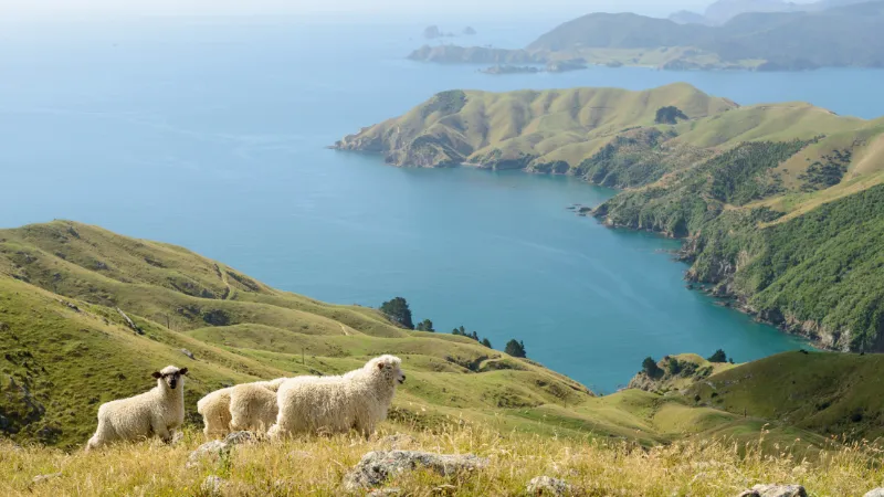 New Zealand và những bang đáng sống nhất