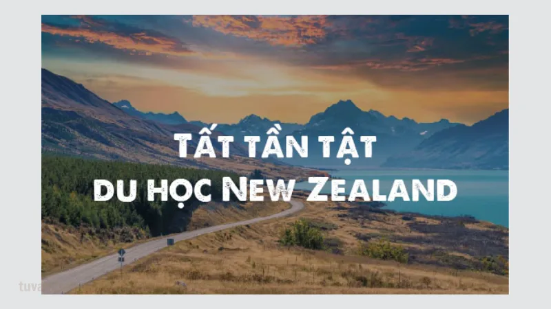 Du học New Zealand cần gì để sẵn sàng hành trang