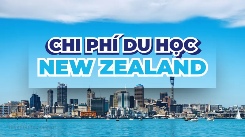 Cách chứng minh tài chính để du học New Zealand hiệu quả