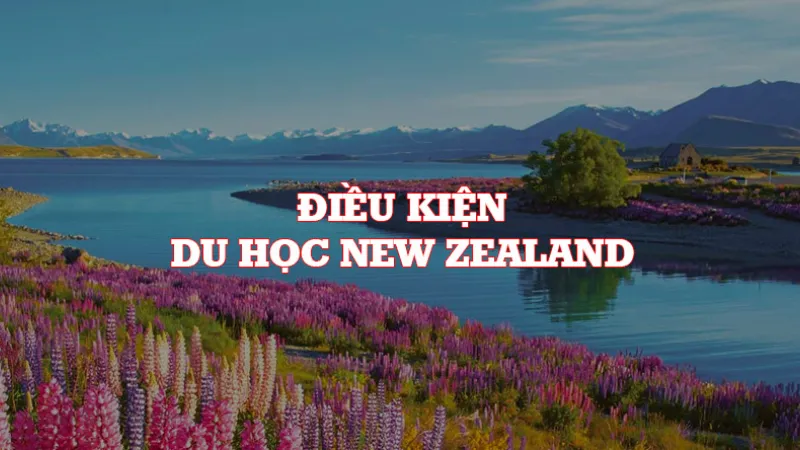 Hồ sơ cần thiết khi du học New Zealand đầy đủ và chi tiết