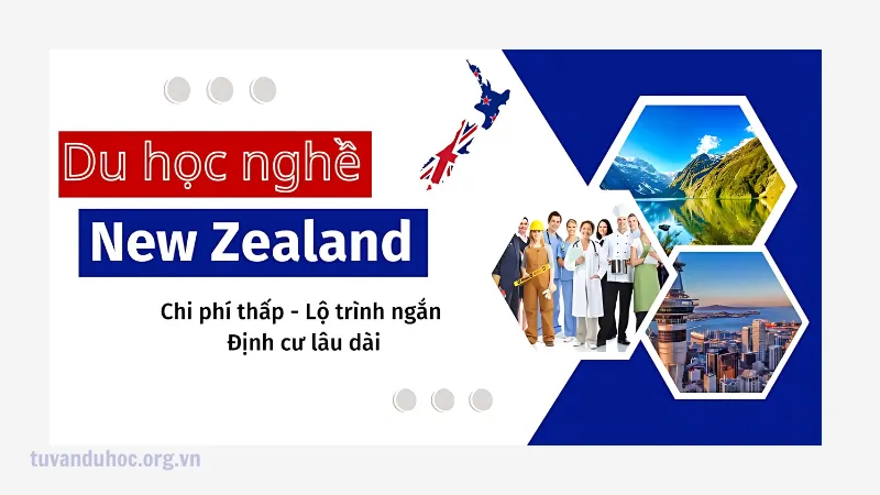 Chi phí du học nghề New Zealand vừa tầm với mọi người