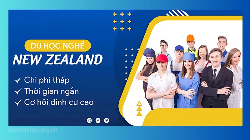 Du học New Zealand với chương trình phù hợp nhất