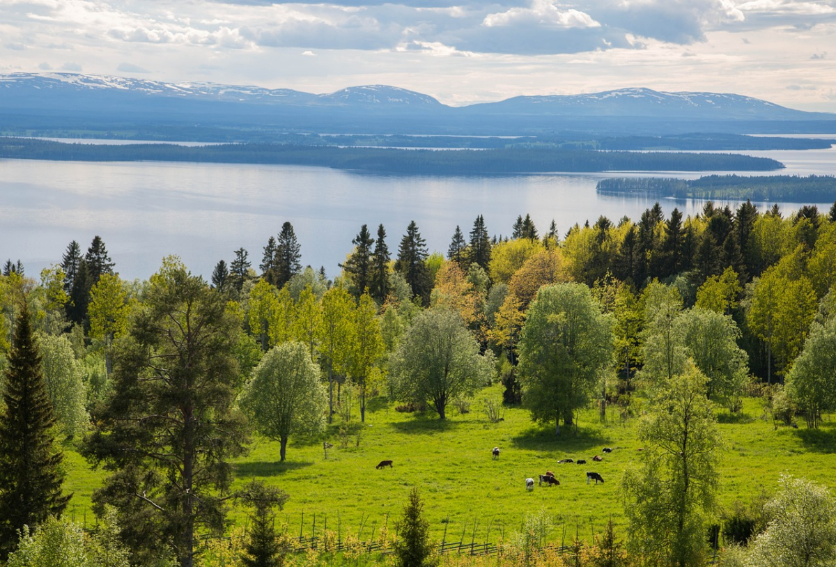 Thụy Điển Serbia – Trận đấu kịch tính, ai sẽ làm nên lịch sử?