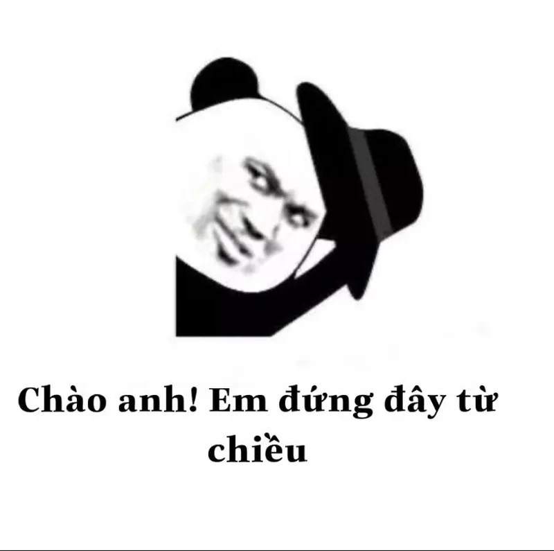 Meme gấu trúc cute là lựa chọn hoàn hảo cho những ai yêu thích sự dễ thương