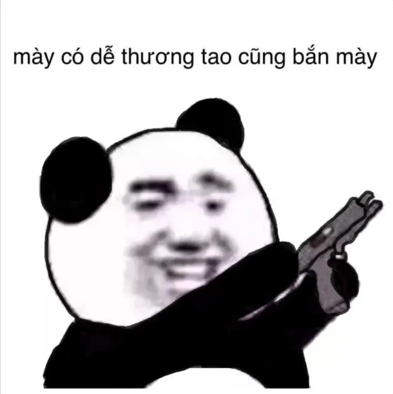 Meme chó tức giận khiến bạn không thể nhịn cười