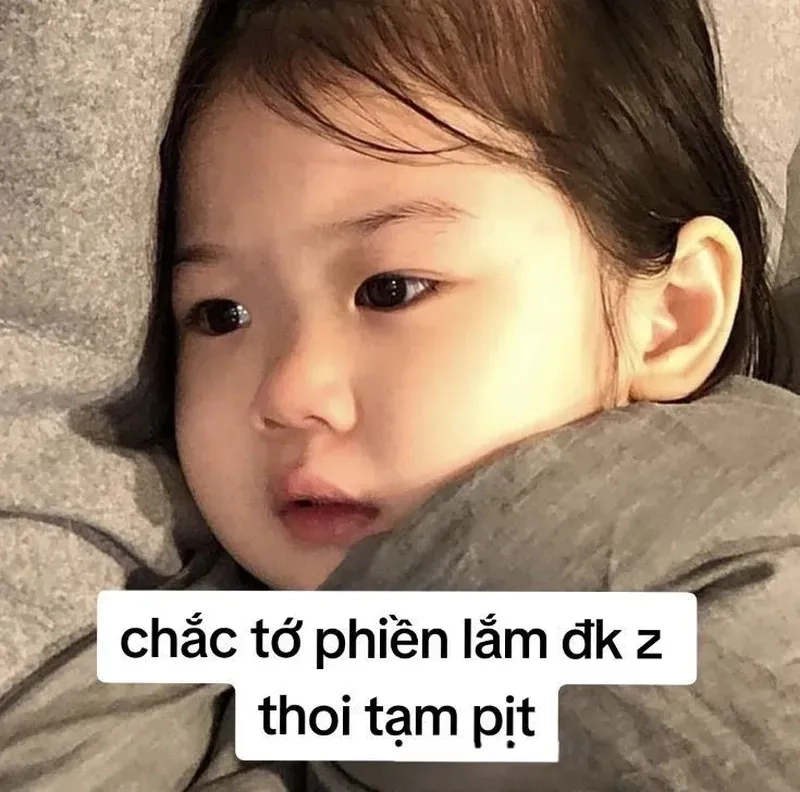 Bye cat meme là lựa chọn hoàn hảo cho những ai yêu thích mèo