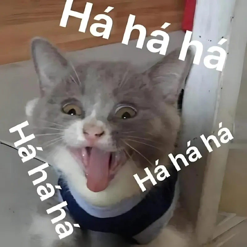 Haha you caught me meme mang lại sự hài hước trong những tình huống bất ngờ