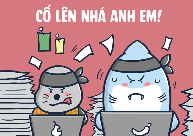 Mũ cối meme là biểu tượng cho sự giản dị và chân thành