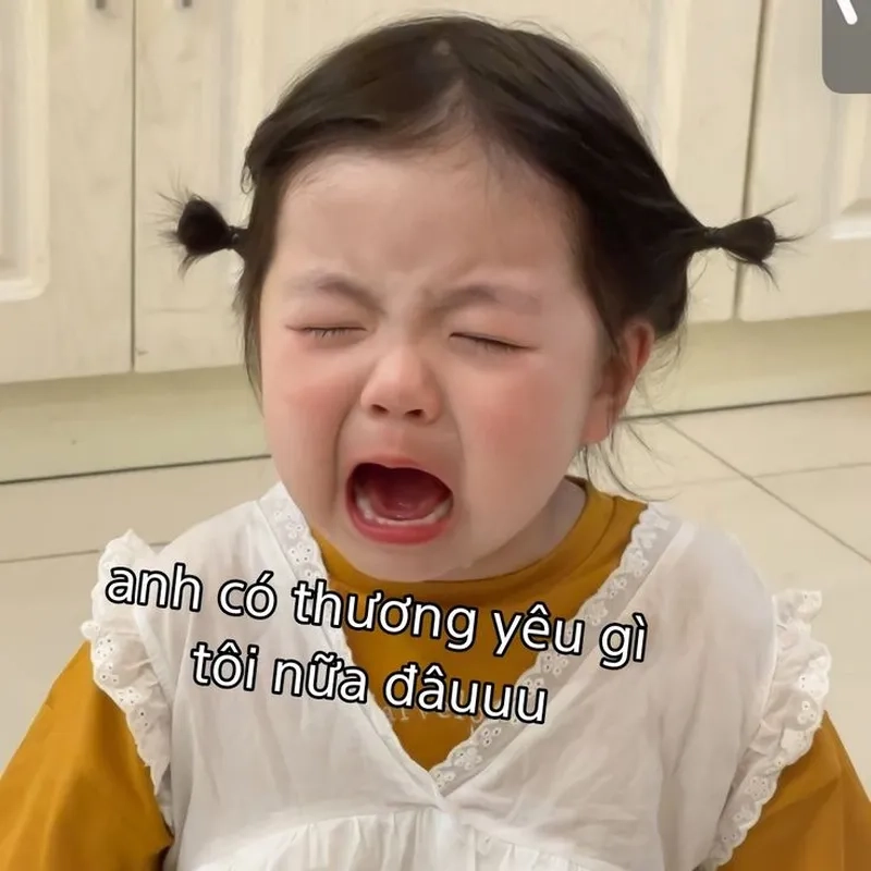 Meme xin lỗi đáng yêu giúp bạn thể hiện sự chân thành một cách hài hước